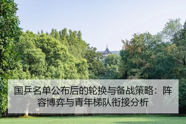 guo-ping-ming-dan-gong-bu-hou-de-lun-huan-yu-bei-zhan-ce-lve-zhen-rong-bo-yi-yu-qing-nian-ti-dui-xian-jie-fen-xi-2-472.jpg
