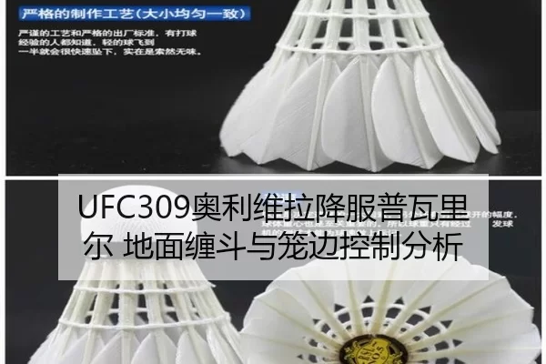 UFC309奥利维拉降服普瓦里尔 地面缠斗与笼边控制分析